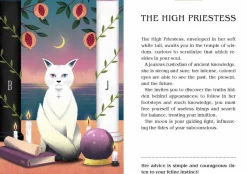 Magic Cats Tarot Deck and Guidebook by Betti Greco