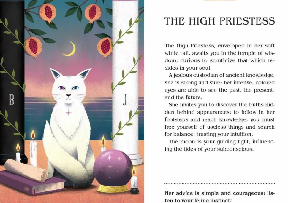 Magic Cats Tarot Deck and Guidebook by Betti Greco