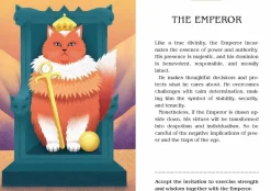 Magic Cats Tarot Deck and Guidebook by Betti Greco