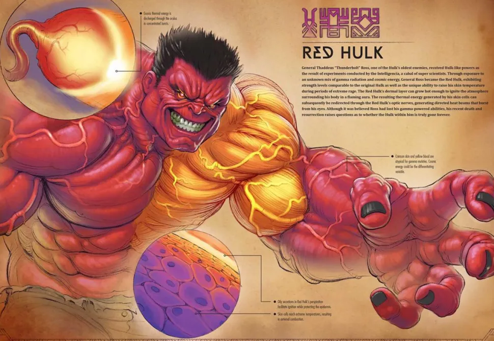 Marvel - Marvel Anatomy: A Scientific Study of the Superhuman Hardcover Book