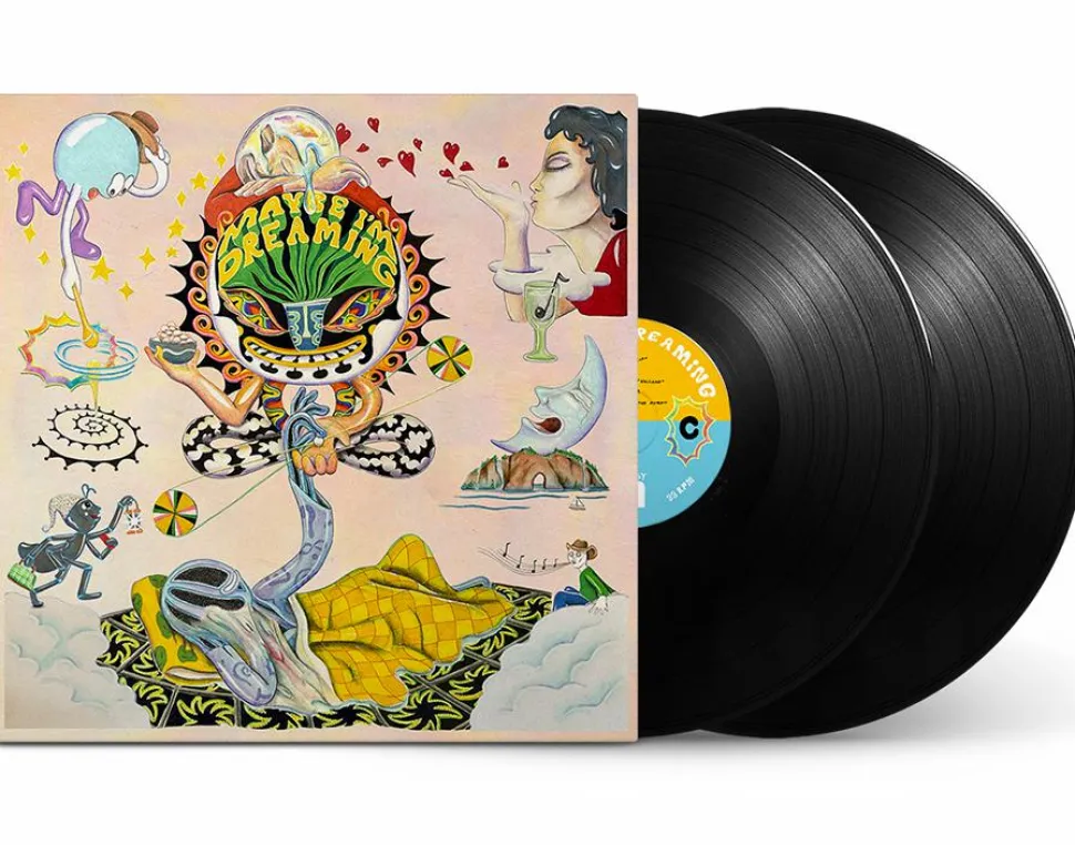 Maybe I'm Dreaming by Various Artists 2xLP Vinyl Record