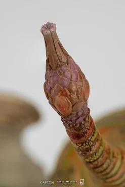 Monster Hunter World - Pukei-Pukei 1/26th Scale Statue