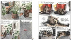 Penny: A Graphic Memoir by Karl Stevens Paperback Book
