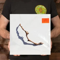 PJ Harvey - I Inside the Old Year Dying LP Vinyl Record