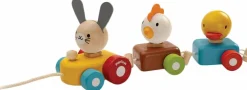 Plan Toys - Animal Train Sorter