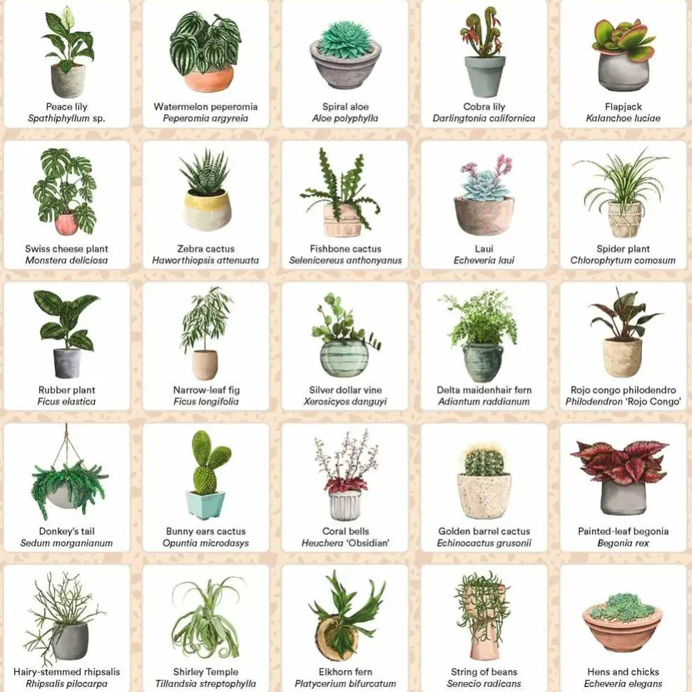 Plant Bingo - A Game for Green Thumbs Board Game