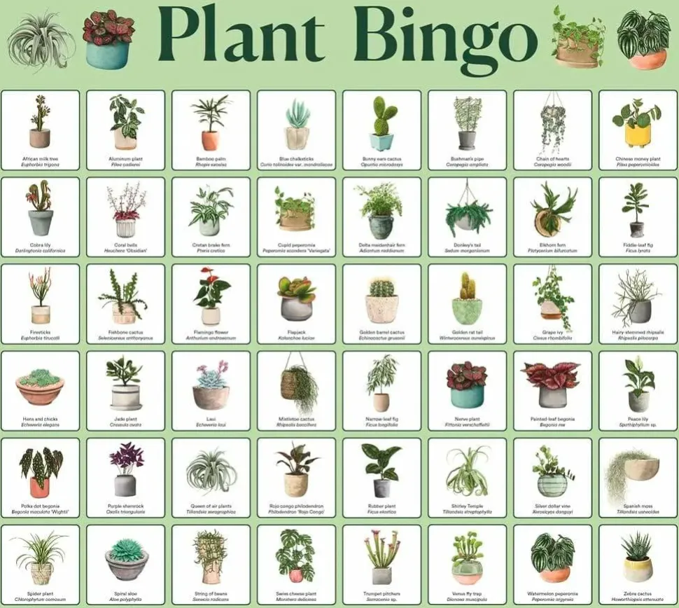 Plant Bingo - A Game for Green Thumbs Board Game