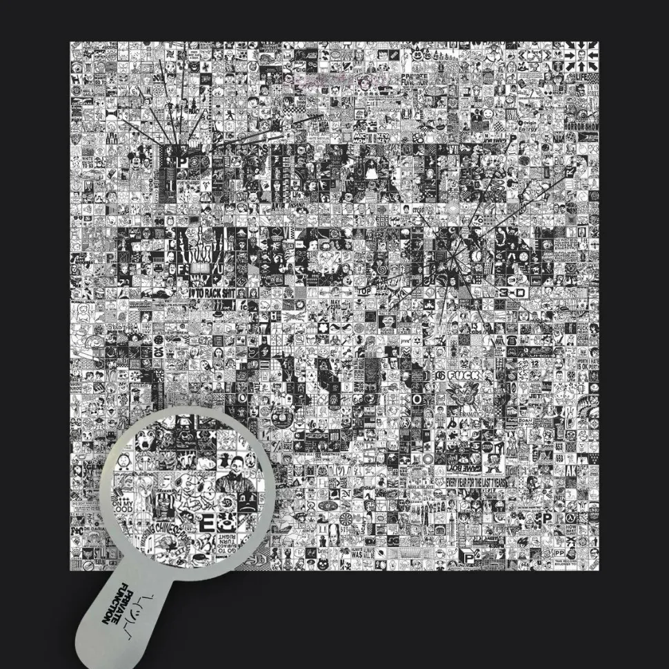 Private Function - ¯_(ツ)_/¯ LP Vinyl Record