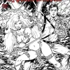 Red Sonja vs. The Army of Darkness - Issue #1 Single Issue Paperback Comic Book (1:10 Incentive Cover L Tim Seeley Line Art Variant)