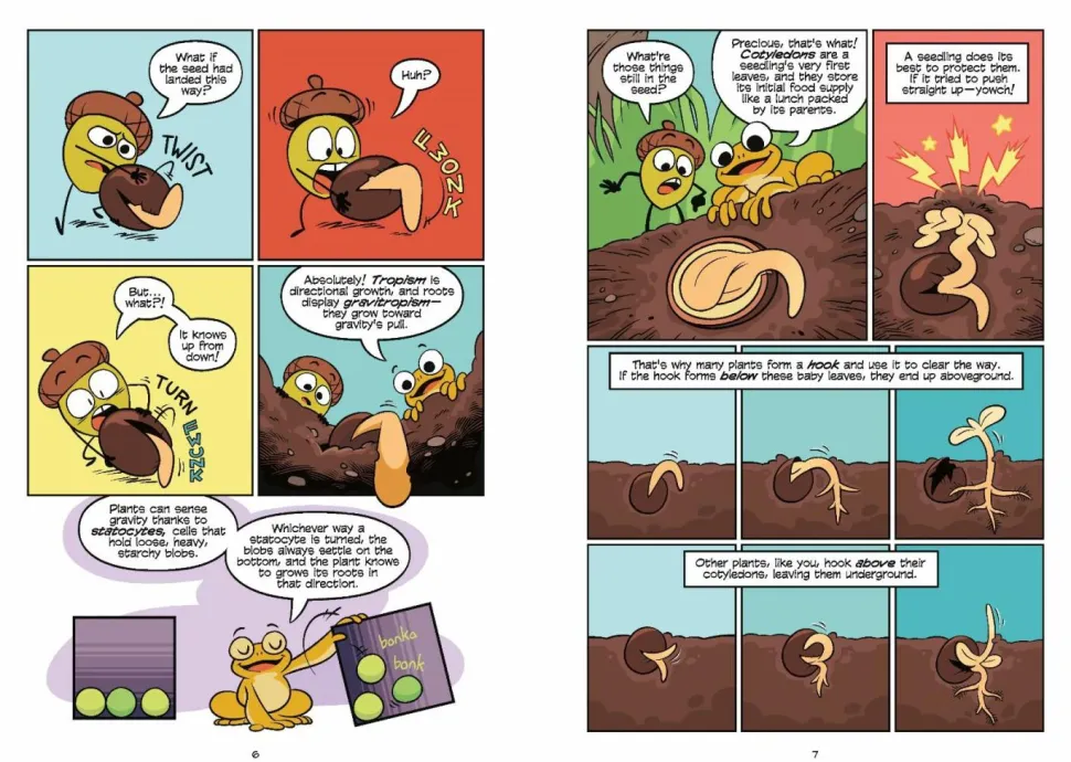Science Comics: Trees by Andy Hirsch Paperback Book