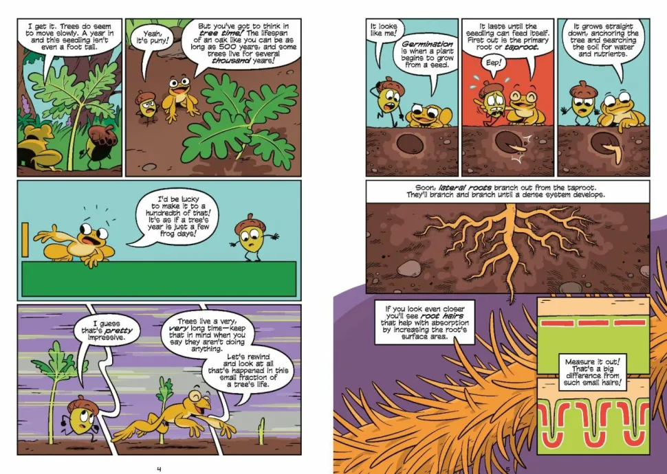 Science Comics: Trees by Andy Hirsch Paperback Book
