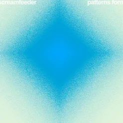 Screamfeeder - Patterns Form: Singles and More from 1992-2017 2xLP Vinyl Record (2018 Record Store Day Exclusive)