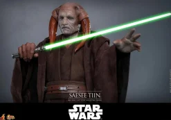 Star Wars Episode III: Revenge of the Sith - Saesee Tiin 1/6th Scale Hot Toys Action Figure