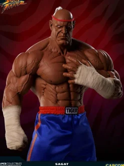 Street Fighter - Sagat Evolution (Set of 2) Exclusive 1/3 Scale Statues