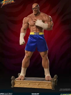 Street Fighter - Sagat Evolution (Set of 2) Exclusive 1/3 Scale Statues