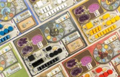 Terra Mystica: Big Box - Board Game