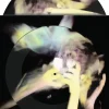 The Cure - The Head On The Door LP Vinyl Record (2025 Record Store Day Exclusive Picture Disc)