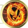 The Hunger Games - Mockingjay Belt Buckle