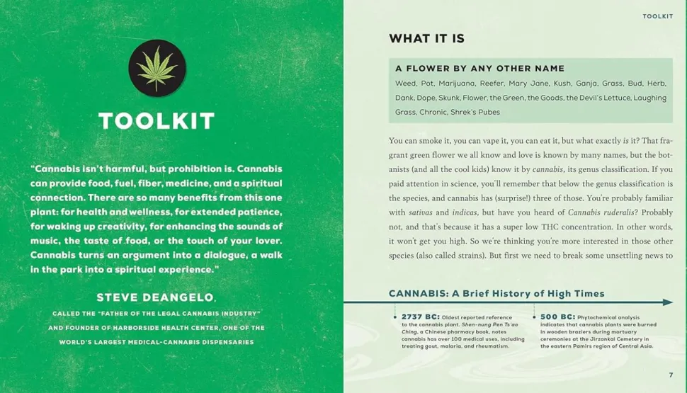 The Joy of Cannabis: 75 Ways to Amplify Your Life Through the Science and Magic of Cannabis by Melanie Abrams Hardcover Book