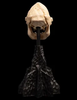 The Lord of the Rings - Skull of Lurtz Miniature Skull 6