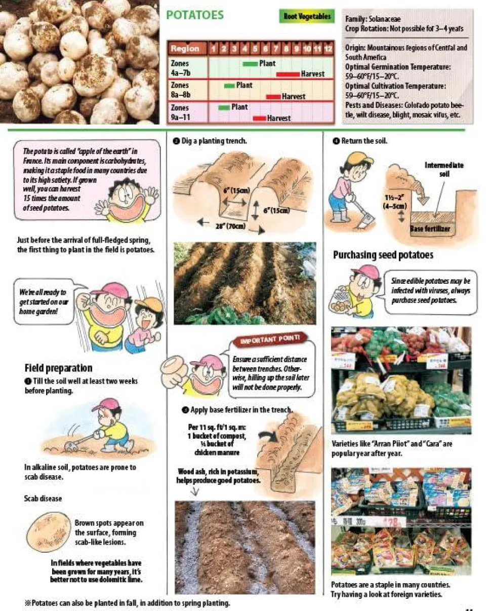 The Manga Guide to Organic Vegetable Gardening: Detailed Tips for Growing 50 Types of Vegetables, Fruits and Herbs Paperback Book