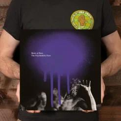 The Psychedelic Furs - Made of Rain 2xLP Vinyl Record