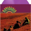 The Rationals - The Rationals LP Vinyl Record (2022 Record Store Day Exclusive Lavender Coloured Vinyl)