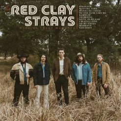 The Red Clay Strays - Made By These Moments LP Vinyl Record (Gold Coloured Vinyl)