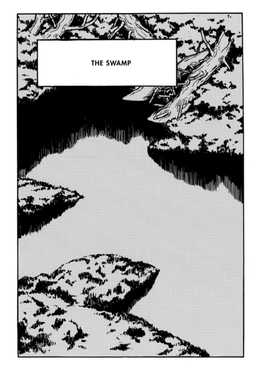 The Swamp by Yoshiharu Tsuge Manga Hardcover Book