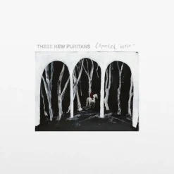 These New Puritans - Crooked Wing LP Vinyl Record