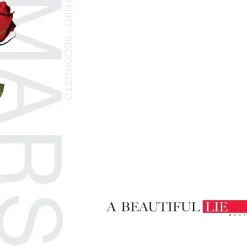 Thirty Seconds to Mars - A Beautiful Lie LP Vinyl Record