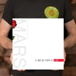 Thirty Seconds to Mars - A Beautiful Lie LP Vinyl Record