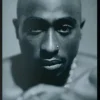 Tupac - Tupac x Primitive Royalty 8.5" Skateboard Deck (Deck Only)
