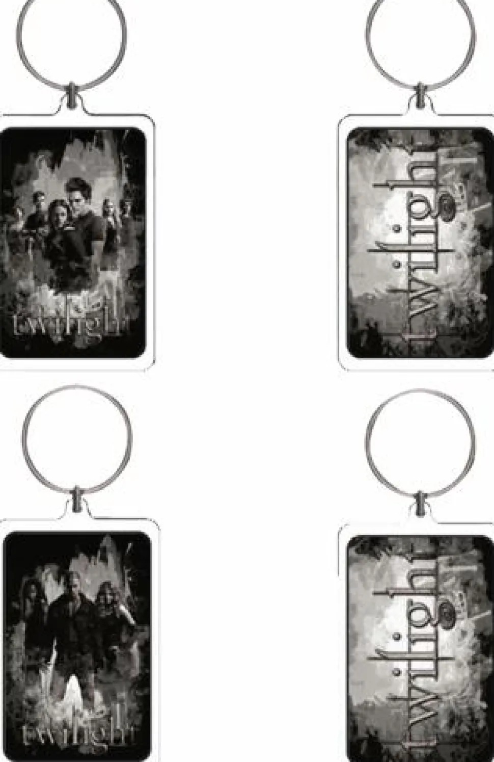Twilight Saga: Twilight - Lucite Keychain 2-Pack (Set #4) Bad Vamps and Cullens