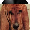 Ty Segall - Goodbye Bread LP Vinyl Record