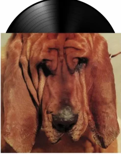 Ty Segall - Goodbye Bread LP Vinyl Record