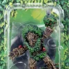 Wardlings - Treefolk Pre-Painted Miniature Figure (Wave 3)