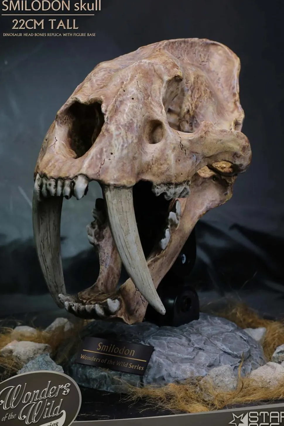 Wonders of the Wild - Smilodon Skull Fossil 8" Statue