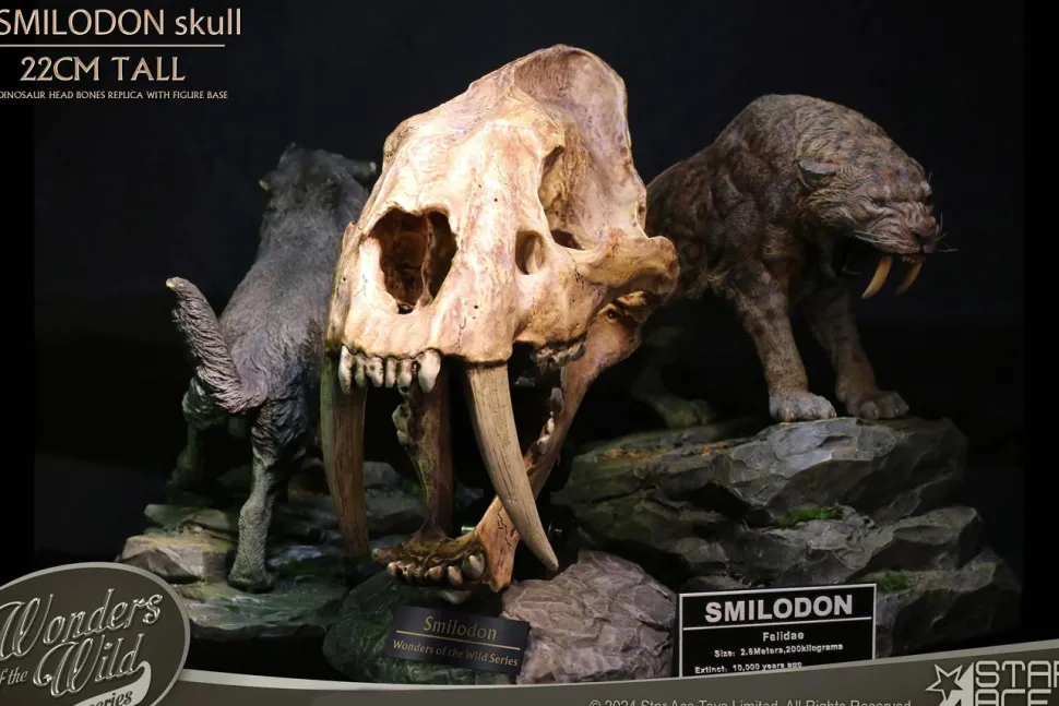 Wonders of the Wild - Smilodon Skull Fossil 8" Statue