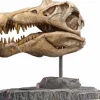 Wonders of the Wild - Spinosaurus Skull 7” Statue