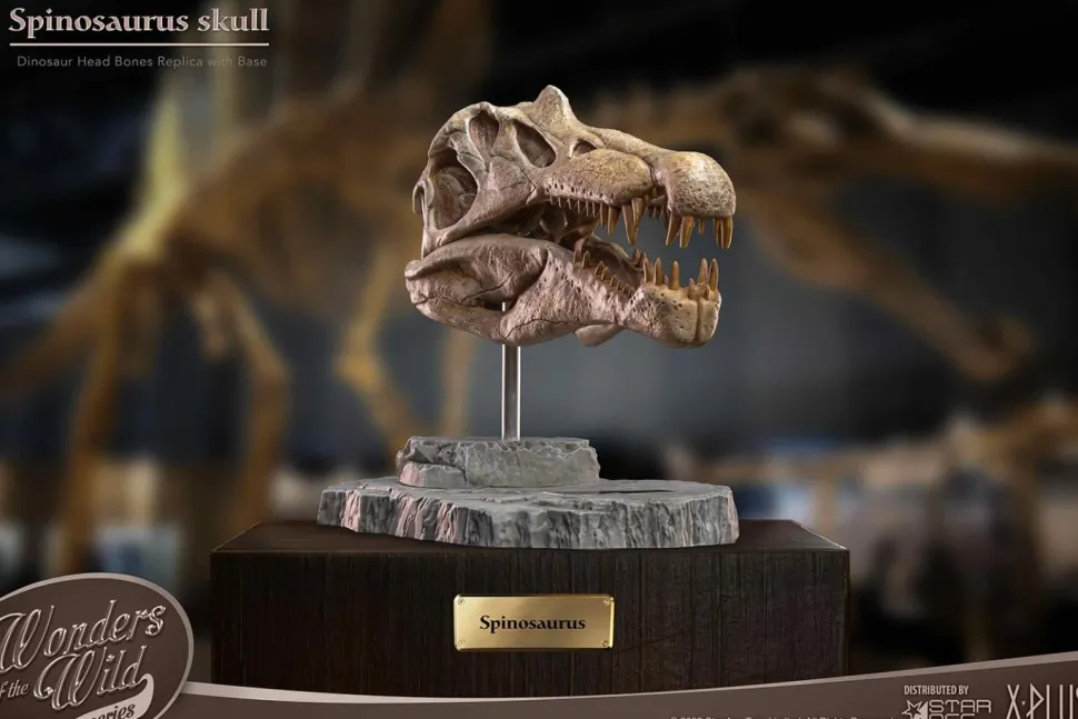 Wonders of the Wild - Spinosaurus Skull 7” Statue