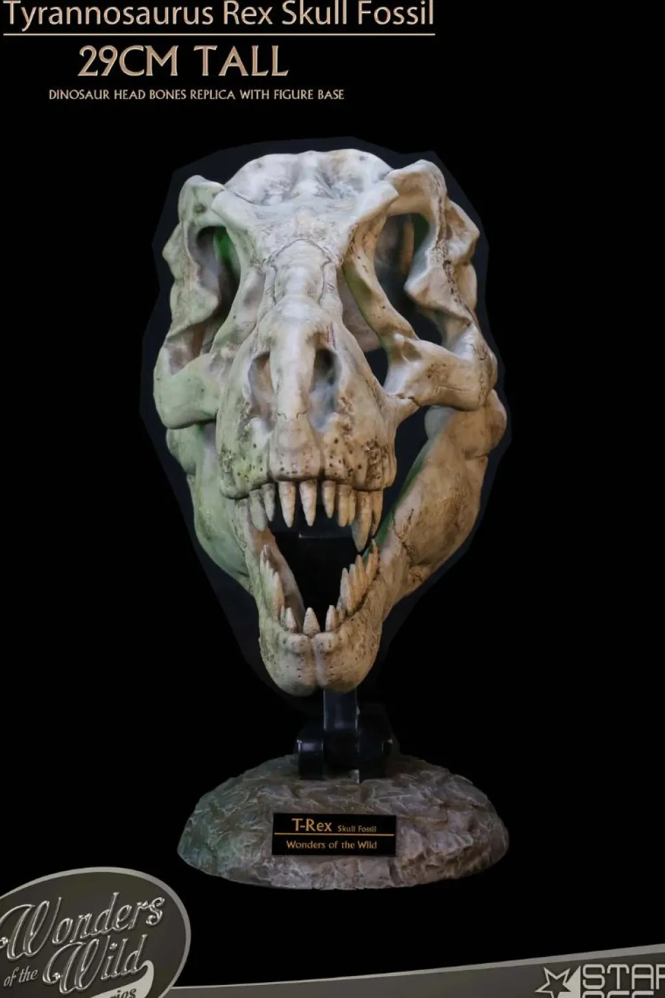 Wonders of the Wild - Tyrannosaurus Rex Skull Fossil 11" Scaled Replica Statue