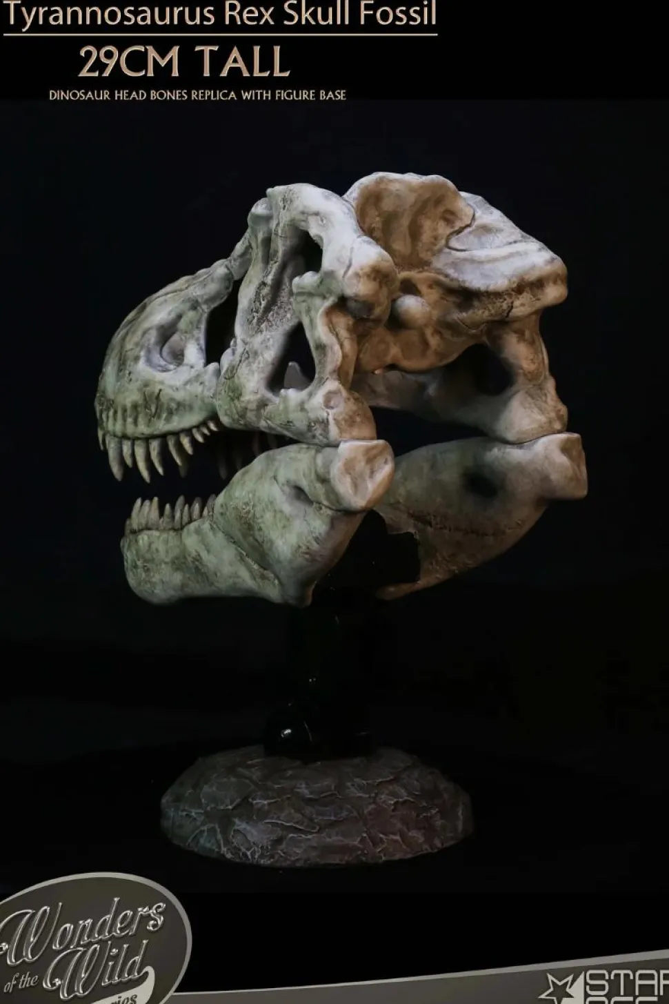 Wonders of the Wild - Tyrannosaurus Rex Skull Fossil 11" Scaled Replica Statue