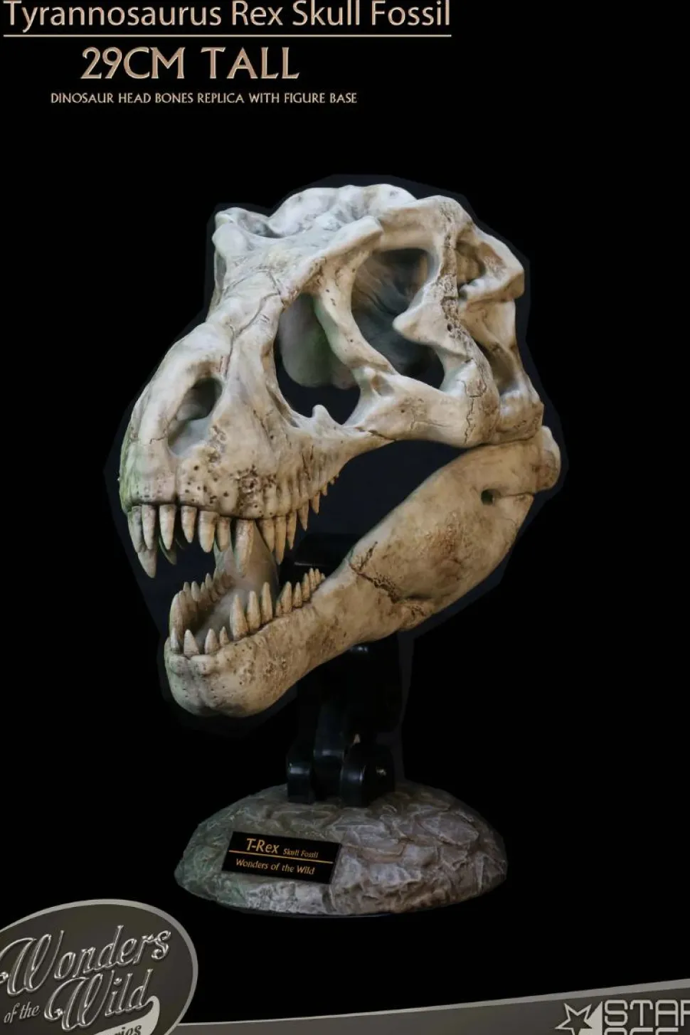 Wonders of the Wild - Tyrannosaurus Rex Skull Fossil 11" Scaled Replica Statue